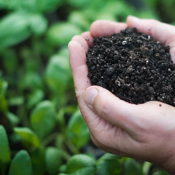 C-Wise | Soil Improvers